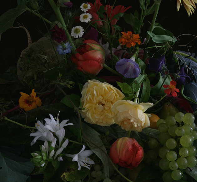 images_goudeneeuw_a3p5798_web