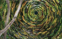 images_kopievan_a3p4365a_web_thumbnail