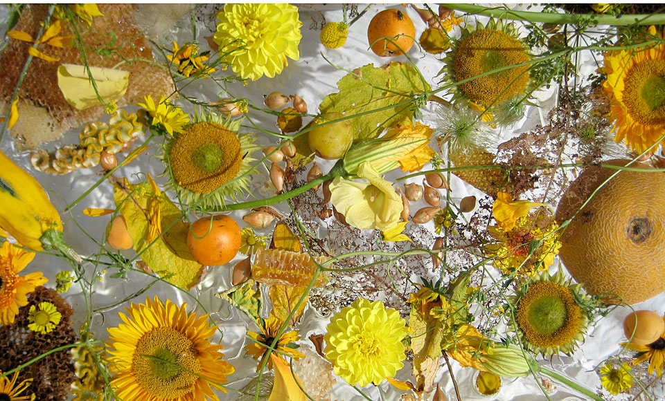 images_yellow1web