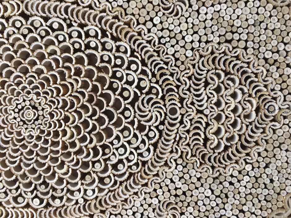 eden detail